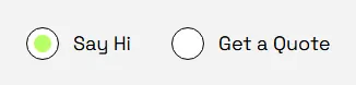 Anima: the contact form’s radio buttons