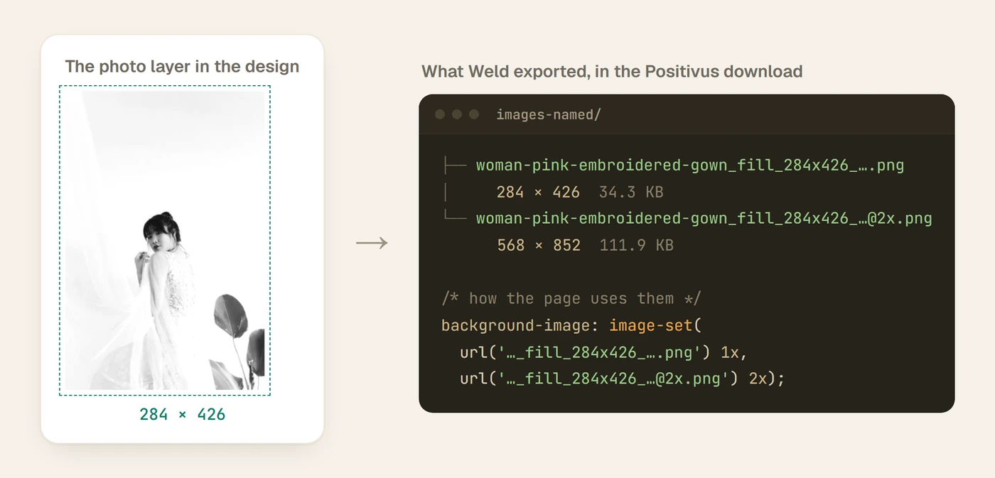 A 284 by 426 photo layer in the Positivus design, and the two files Weld exported from it: 284 by 426 and 568 by 852, used together through image-set