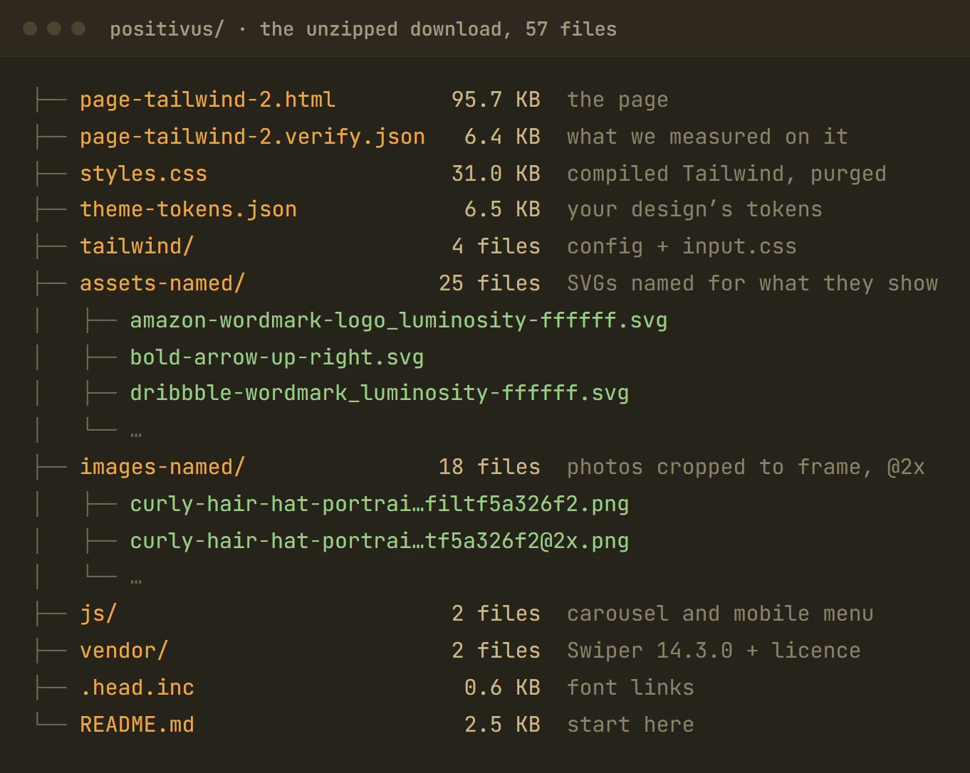 The unzipped Positivus download: the page, its measurement report, styles.css, the tailwind folder, named SVGs and images, and the scripts